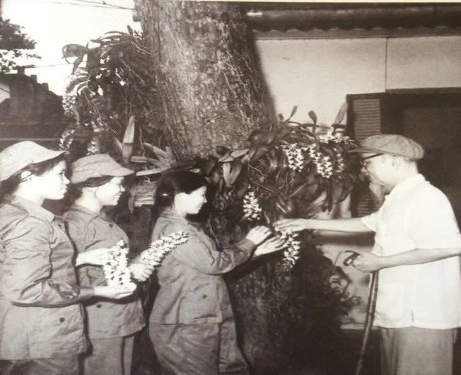 Chị Trần Thị Bưởi (nữ d&acirc;n qu&acirc;n x&atilde; Vĩnh T&uacute;, đứng đầu) được B&aacute;c Hồ tặng hoa phong lan - Ảnh tư liệu